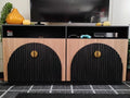 TV-Schrank-Set, Schwarz, Kamel, Mid-Century Modern, 2-teilig, hoch, Stauraum, verstellbare Regalböden/Türen